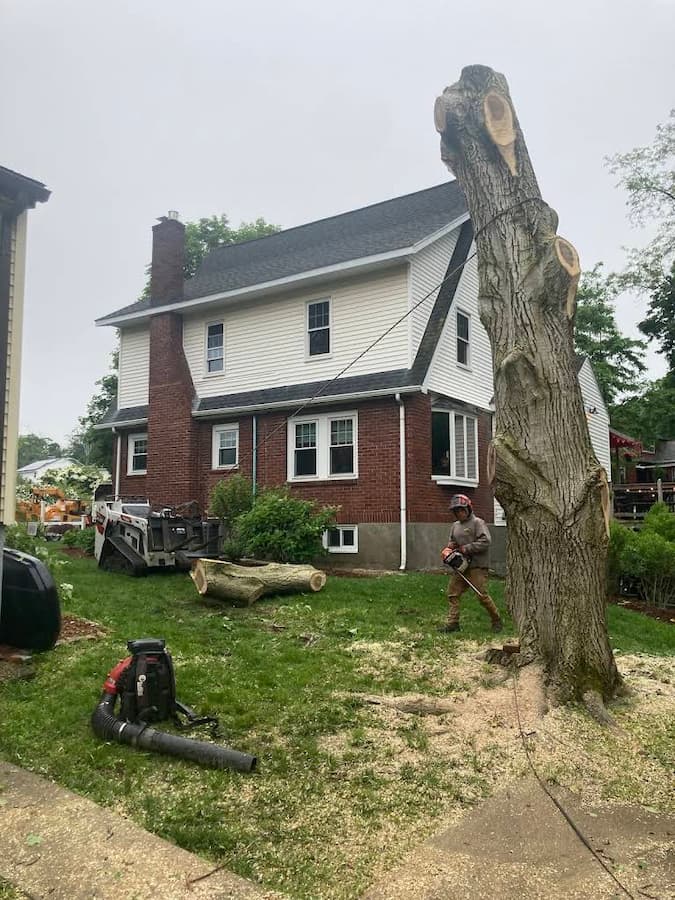 ANTHONY TREE SERVICES AND LANDSCAPING