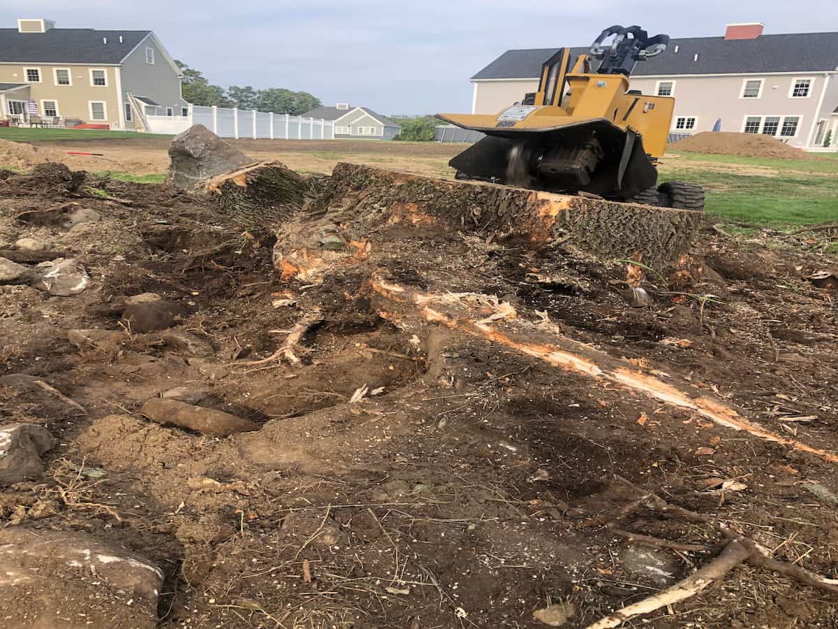 Stump Grinding